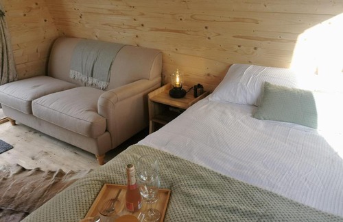 Bridgend Other | Y Nyth - The nest