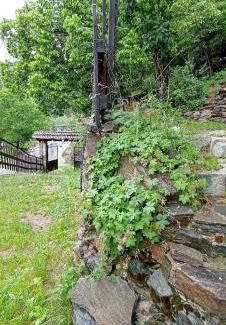 Smolyan House | Yakusha - Якуша, къща за гости