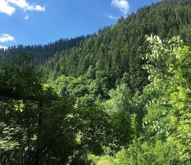 Smolyan House | Yakusha - Якуша, къща за гости