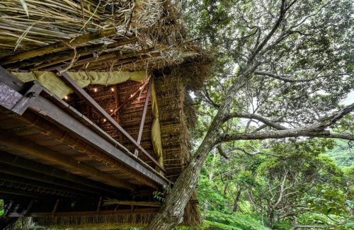 Higashi Hotel | Yambaru Wild Treehouse Kidzy