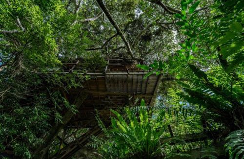 Higashi Hotel | Yambaru Wild Treehouse Kidzy