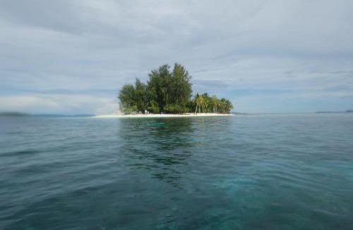 Raja Ampat Other | Yef Nabi Homestay