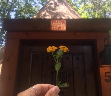 New Braunfels House | Yellow Flower - Tipi 5