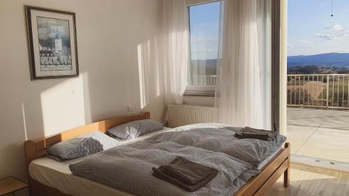 Metlika Apartment | Yellow House Grabrovec