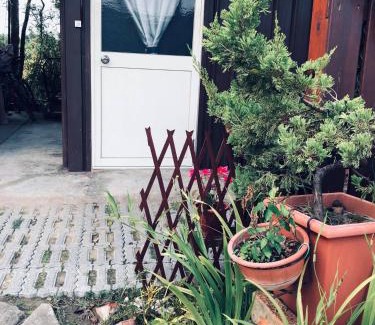 Danei District House | Yiyue Guanhe Homestay 倚月觀荷民宿