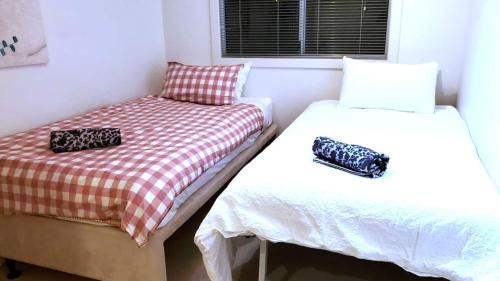 East Perth House | Your Oasis In The Heart Of East Perth