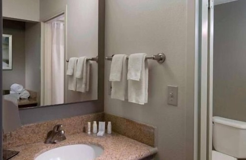 Boca Raton Hotel | Your Sunny Escape, Minutes to Boca Raton Beach, Pet-Friendly, Free Parking, Pool