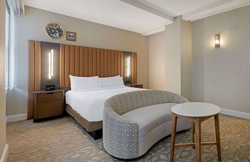 Downtown Tampa Hotel | Your Tampa Adventure Begins! Modern Luxury!