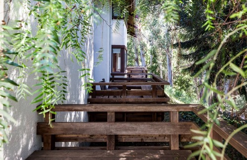 Live Oak Hotel | Your Ultimate Nature Retreat Starts Here | Forest View Room w/Patio | Scenic