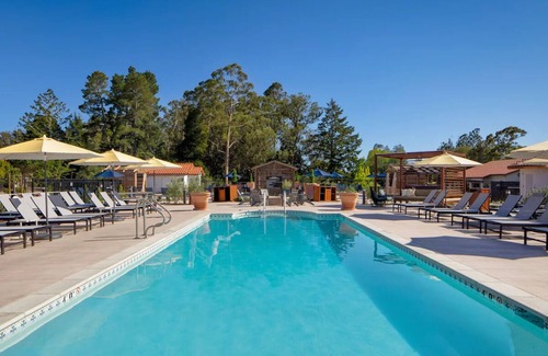 Live Oak Hotel | Your Ultimate Nature Retreat Starts Here | Forest View Room w/Patio | Scenic