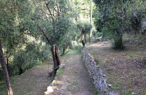 Portovenere Villa | Your villa on Palmaria's island Casa del Frate