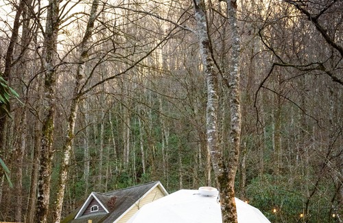 Brevard Apartment | Yurt Stay - Sauna - Creek View - Firepit