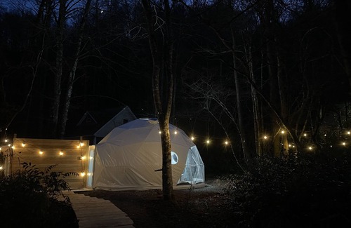 Brevard Apartment | Yurt Stay - Sauna - Creek View - Firepit