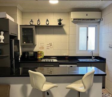 Gezira Apartment | Zamalek amazing studio 1BR