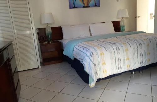 Ocho Rios Apartment | Zander's Paradise @Mystic (King)