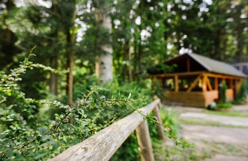 Skhidnytsya Hotel | Zelenyy Bir