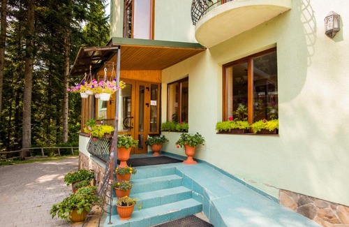 Skhidnytsya Hotel | Zelenyy Bir