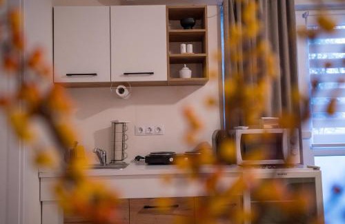 Ocna Mures Apartment | Zena Apartment