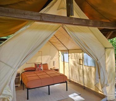 Golden Other | Zest Campers Ltd
