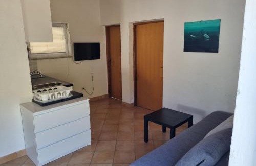 Zirje Apartment | Zirje Accommodation