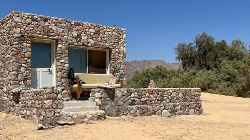 Wasit Other | Zoola beach camp & Eco lodge