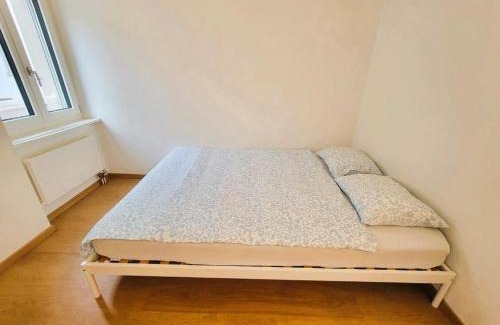 Gewerbeschule Apartment | Zurich City Center Apartments next to Zurich HB Main Train Station LA - Self Checkin
