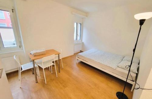 Gewerbeschule Apartment | Zurich City Center Apartments next to Zurich HB Main Train Station LA - Self Checkin