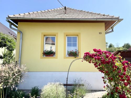 Žltý domček - Apartmán Švábovce
