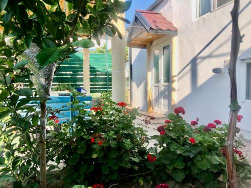 Баку приморский поселок Бузовна