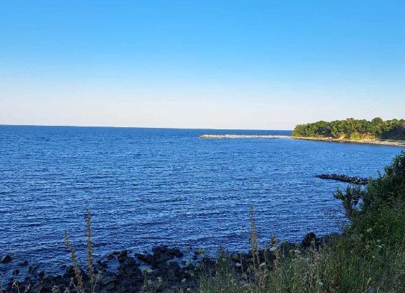 Комплекс Джулай Морнинг