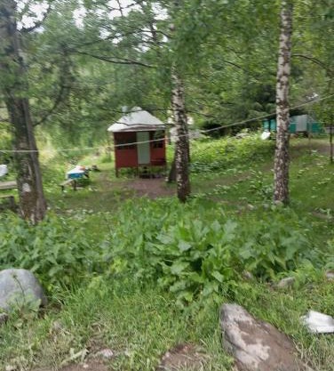 Лесхоз