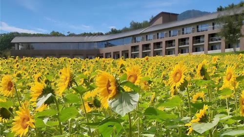 富良野ホテル Furano Hotel
