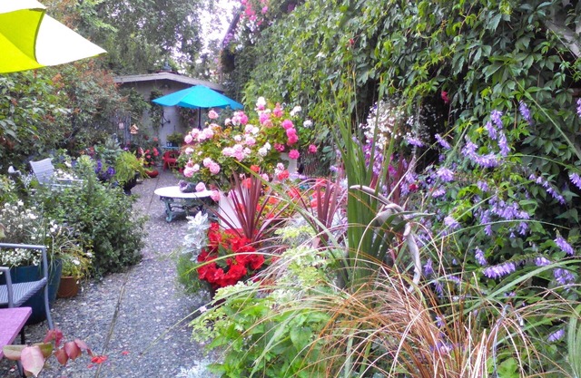 1 Bdm Corporate & Vacation Comfort Home Away from Home Midtown Close to Airport