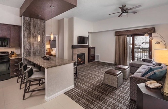 1 bedroom 1 BA Presidential , pullout sofa, sleeps 4 full kitchen washer dryer