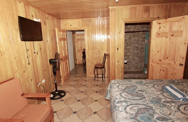 1 bedroom 1 bath in Sheffield Jamaica