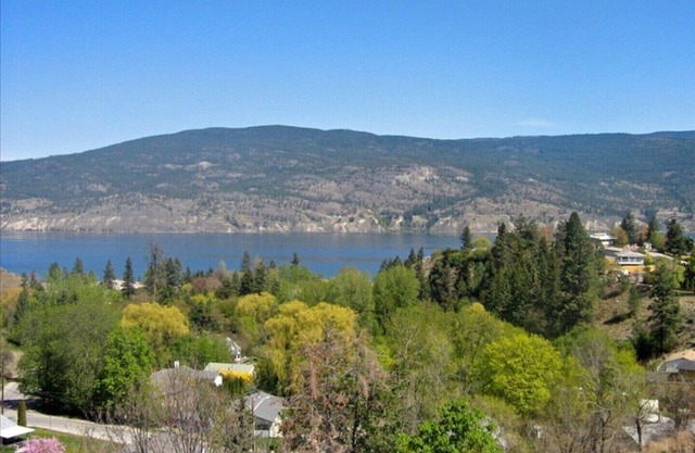 1 Bedroom Executive Lakeview Suite