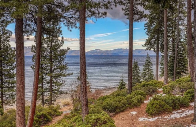 1 Bedroom Lakefront at Chinquapin | Unit 147
