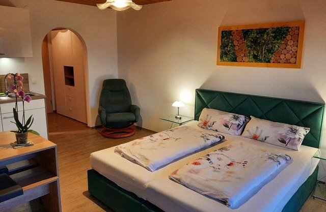 1-room apartment (30 sqm) with west-facing balcony and free WiFi