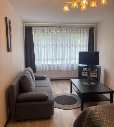 1 room apartment in Statybininku pr.