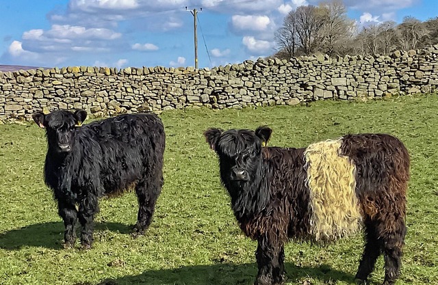 2 bedroom accommodation in Gayle near Hawes
