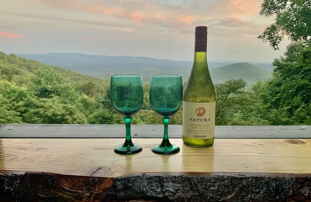 2 BR Mountain Cottage - AMAZING VIEWS!