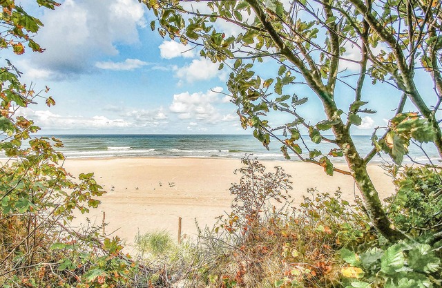 3 bedroom accommodation in Darlowo