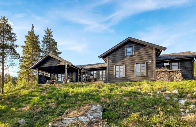 3 bedroom beautiful home in Lesjaverk