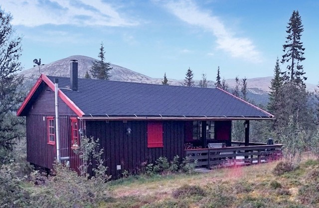 3 bedroom beautiful home in Tynset