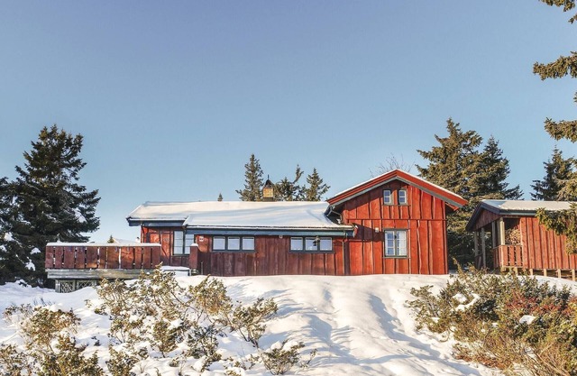 3 bedroom gorgeous home in Sjusjøen