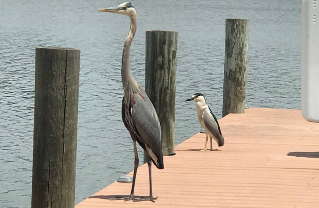 3 Bedroom house. The BayHouse on The water. Movie theater Dock, Rafts, Fishin