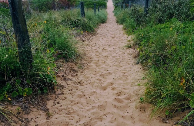 3 Min walk to the beach, this little slice of heaven is your perfect getaway!