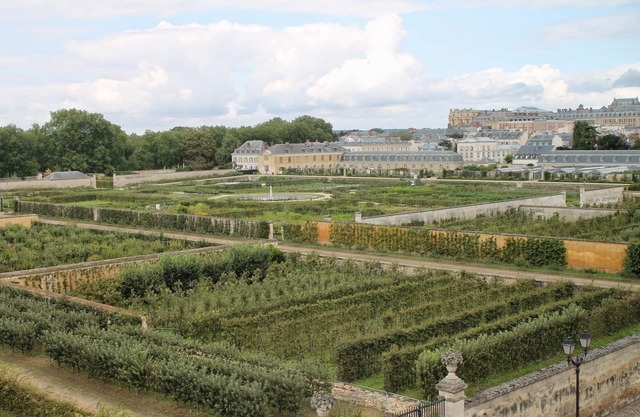3-room flat, Saint-Louis district, views of the potager de Roi vegetable garden