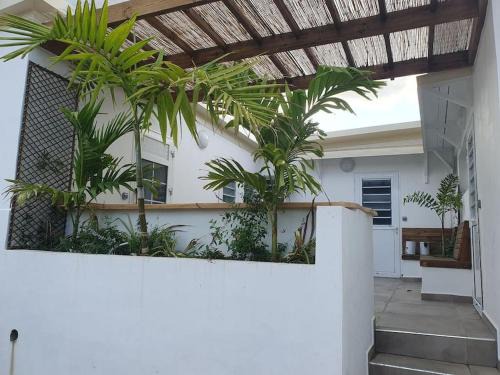 3 studios autour d'un patio commun