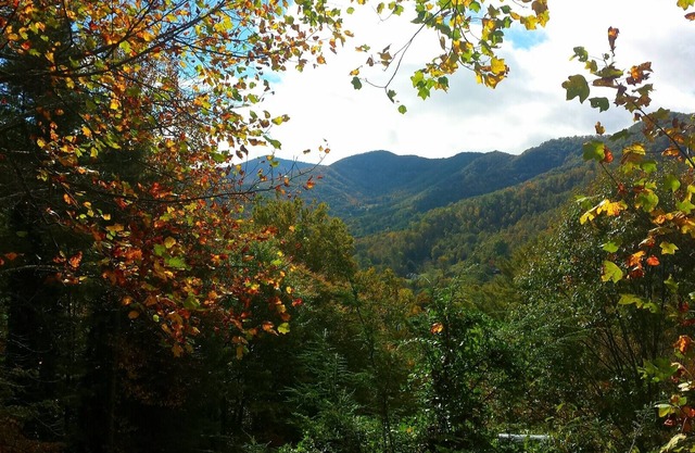3BD/3BA Magnificent Views of Balsam Mountain